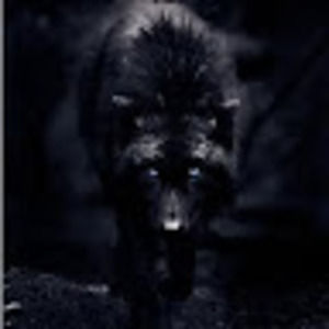 Meet your Posher, Moon